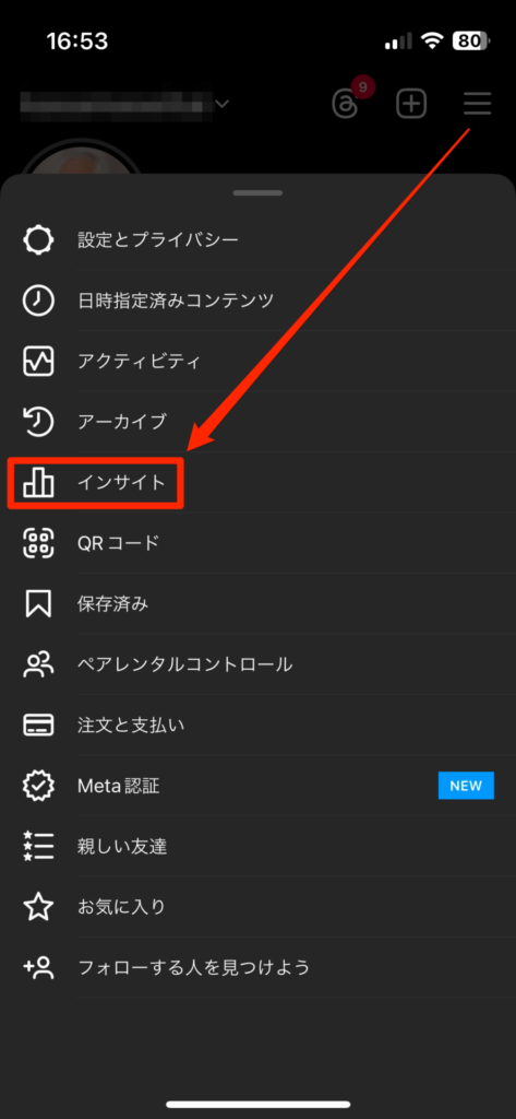 Instagram インサイト表示２