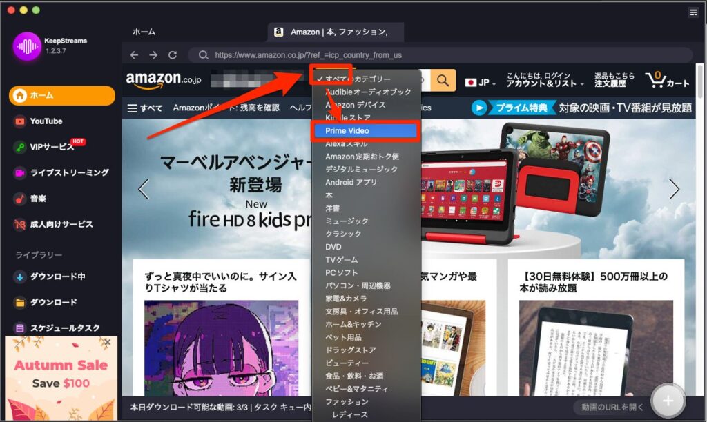 KeepStream 検索オプション