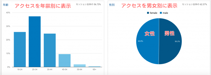 Googleアナリティクスの設定:ユーザーインスタントレポート